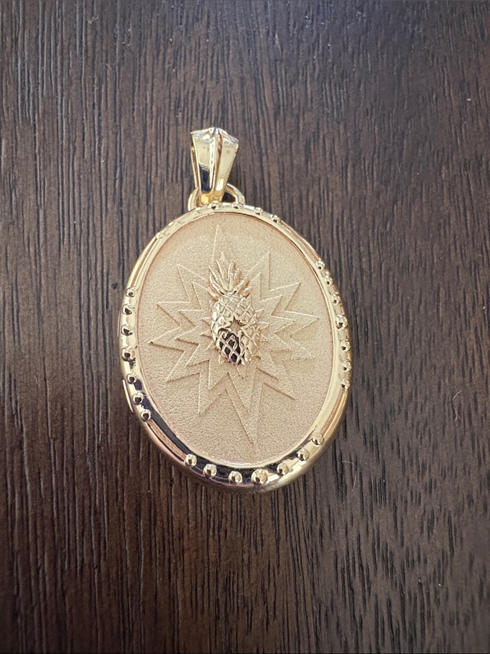 Brand New Jane Win Gold Plated Charelston, SC Pineapple Starburst Oval Locket